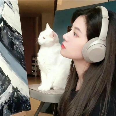 寻找周杰伦